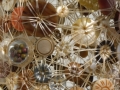 Lisa Kokin, Rescue 2004. Buttons, chicken wire, imitation sinew, spray paint, 15.5 x 9.5 x 9 in.